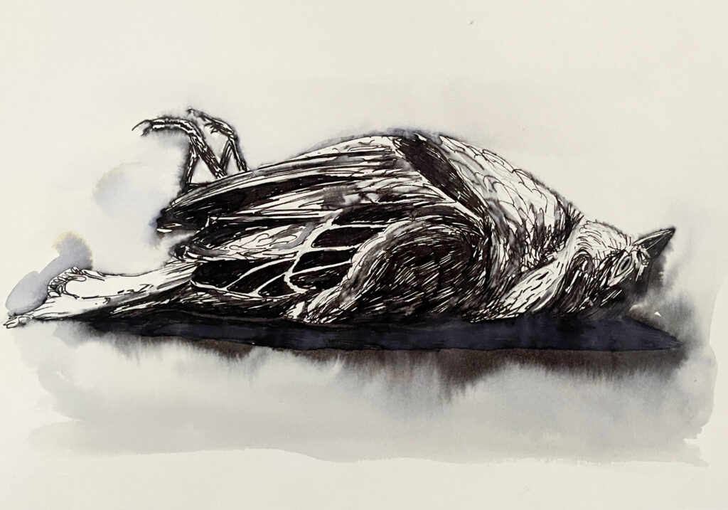 ORIGINAL DRAWING